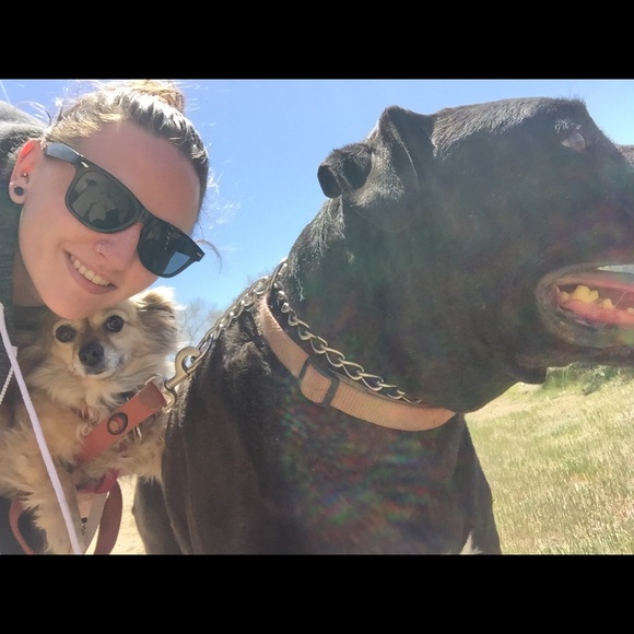 ♥️posh ambassador | 5⭐️top rated seller | 🐾 - Picture 6 of 9